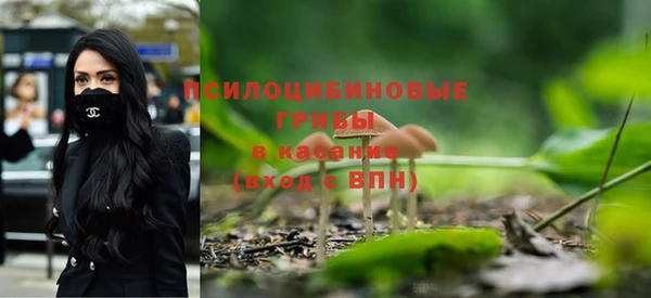 прущая мука Арсеньев