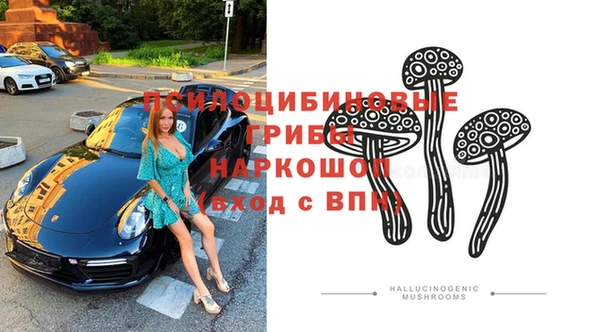 прущая мука Арсеньев