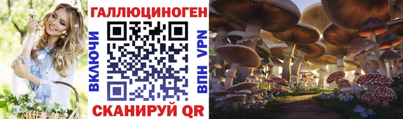 Галлюциногенные грибы GOLDEN TEACHER  Колпашево 
